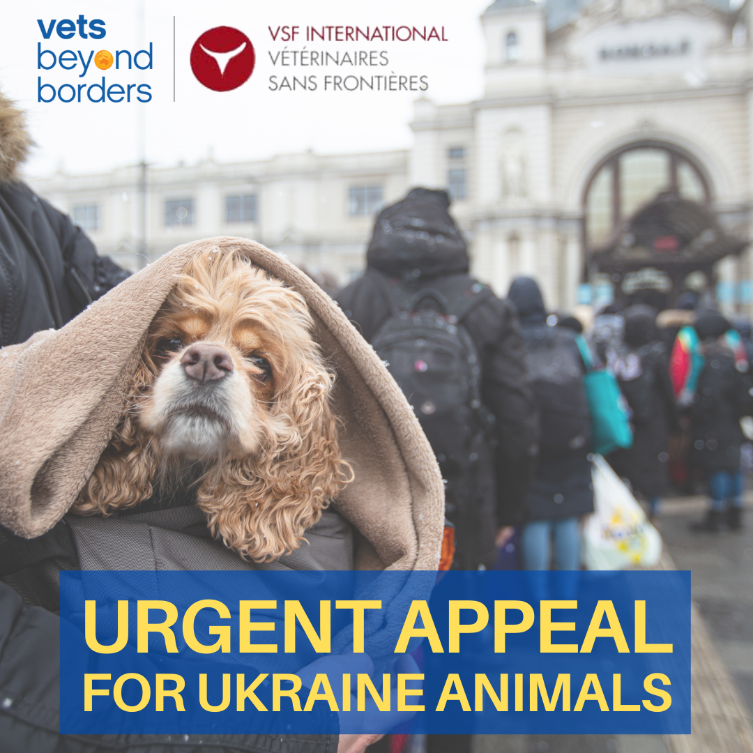 urgent appeal for ukraine animals