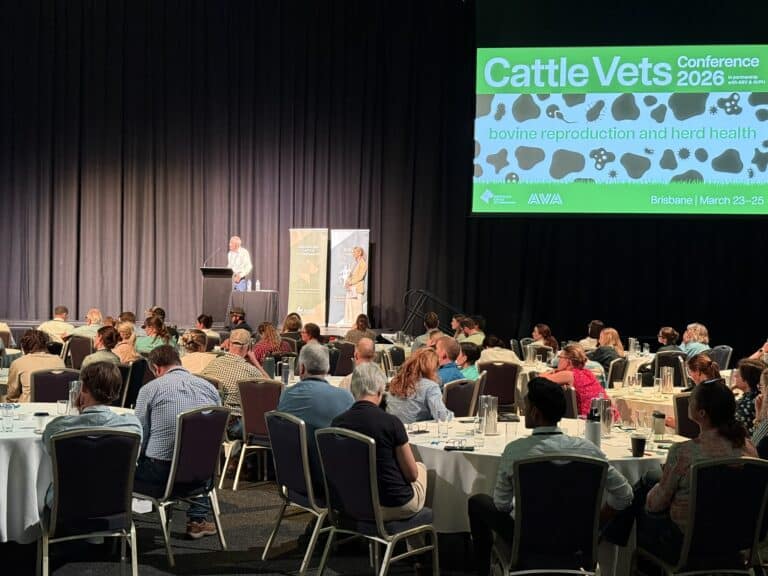 Cattle veterinarians in a conference room with presenter on stage