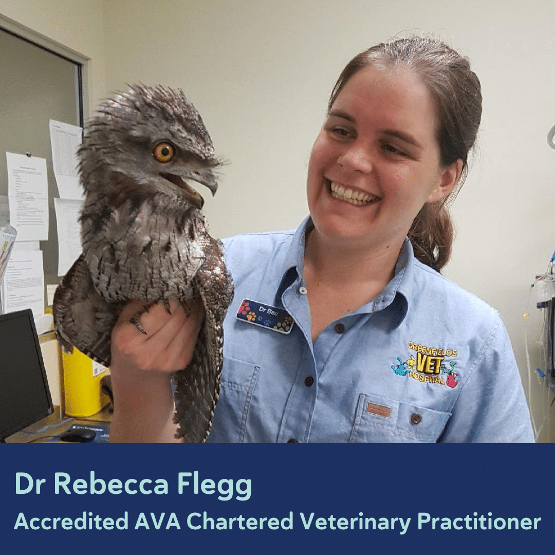 Rebecca Flegg Past AVA CVP Student.png