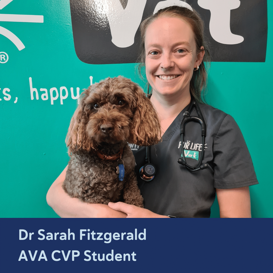 Sarah Fitzgerald AVA CVP Accredited Practitioner Student.png